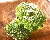 シャキッと！粉チーズブロッコリーお弁当作り方7写真
