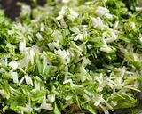 キャベツ無し！水菜とニラの餃子作り方1写真