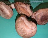 鶏もも肉と椎茸のやさしい生姜おこわ作り方2写真