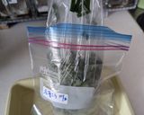 パラパラになるニラの冷凍術作り方4写真