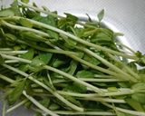 ハムのくるっと豆苗巻き作り方2写真