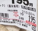 自宅で簡単放置フードドライヤーで干し椎茸作り方5写真