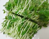 豆苗と蒸し豆のサラダ作り方1写真