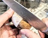 ｽﾃｨｯｸﾌﾞﾛｯｺﾘｰのｼﾁｭｰ作り方4写真