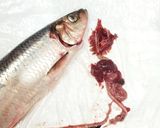 道産子の春☆ニシンの塩バター♬ムニエル風作り方1写真