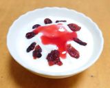 ドライフルーツと蜂蜜でヨーグルトを作り方22写真
