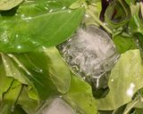 シシャモと葉物野菜のサラダ🥬作り方1写真