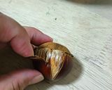 栗バサミで栗の剥き方作り方4写真