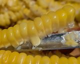 チリバターコーン改訂🌽コーンピーラー粒取り名人篇作り方2写真