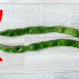 作り置きが旨し♪モロッコいんげんのごま和え作り方1写真