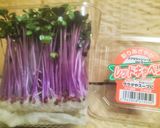 ♻️野菜プレップ｜下処理｜雑学｜①葉茎菜類作り方4写真