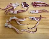 いかの納豆あえ作り方1写真