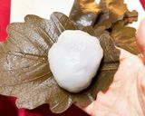 よもぎのあんころ餅作り方9写真