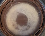 tacookおかゆ（お茶碗1杯分）作り方3写真