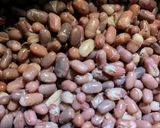 発芽した小豆から作る 発酵あんこ作り方8写真