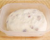 【発酵種】ヨーグルト種クランベリーパン作り方15写真
