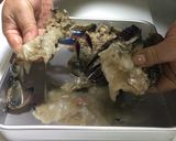 渡り蟹のグリーンカレー作り方3写真
