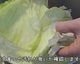 干しエビとキャベツの炒め物作り方1写真