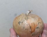 ソイリッチでトマトの豆乳スープ作り方4写真