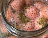 いちごの酵母（液種）作り方5写真