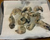 サクッとジューシー！基本のカキフライ作り方1写真