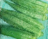 簡単！オクラの胡麻和え作り方1写真