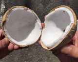 ベトナム🇻🇳チェー風デザート🏝️ココナッツの果肉で🥥作り方1写真
