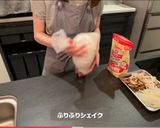 鶏もも肉のマスタードクリーム煮作り方4写真