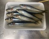 骨まで食べれる!美味しいイワシの醤油煮!作り方1写真
