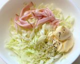簡単キャベツサラダ作り方4写真