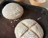 あこ酵母で作る全粒ブール作り方5写真