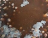 金時豆の黒糖ほうじ茶ぜんざい作り方4写真