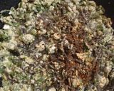 まかない海苔と生もずくの卵とじ作り方4写真