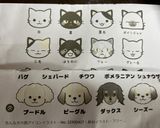 可愛い😍トイプー♡猫の生チョコ一口タルト作り方4写真