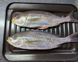 能登魚!シンプルに食す♡いさきの塩焼き作り方2写真