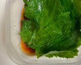 大葉の半年作り方1写真