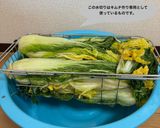 キムジャン　キムチ　冬期　保存食作り方10写真