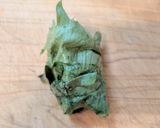 レンジで簡単!レタスシュウマイ🥬作り方9写真