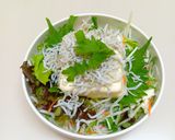 時短＆簡単♪豆腐＆シラス＆大葉のサラダ♪作り方2写真