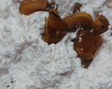 米粉で栗の甘露煮入りパウンドケーキ作り方11写真