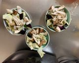簡単コク旨ツナ根菜白菜レモン味噌味野菜炒作り方10写真