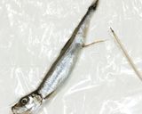 うちの☆ししゃも・小型魚❣下処理は爪楊枝作り方20写真