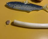 🎼ひとり暮らしの味方　ネギと調理器具の回作り方1写真