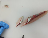 魚の皮引きと刺身のおろし方 魚市場直伝作り方5写真