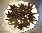 イロハモミジの冷凍＆乾燥の茶葉で飲み比べ作り方3写真