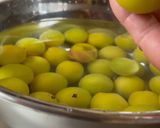 梅のかんたん酢漬け作り方1写真