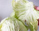 【ポリ袋で簡単】やみつき塩麹キャベツ作り方3写真