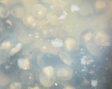 旨味爆発！至福の青森しじみラーメン🍜作り方5写真