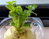 新玉ねぎ美味おじや作り方1写真