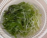 【簡単】生水菜とツナマヨサラダ作り方2写真